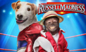 Russell Madness (2015) Fragman