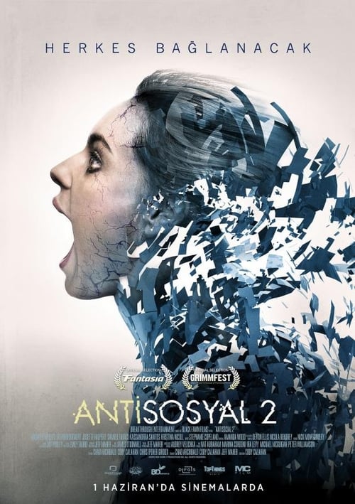 Antisosyal 2 (2015)