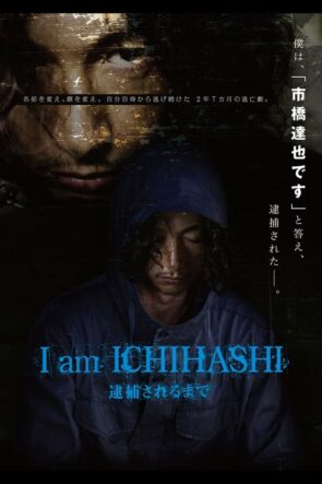 I am ICHIHASHI 逮捕されるまで (2013)