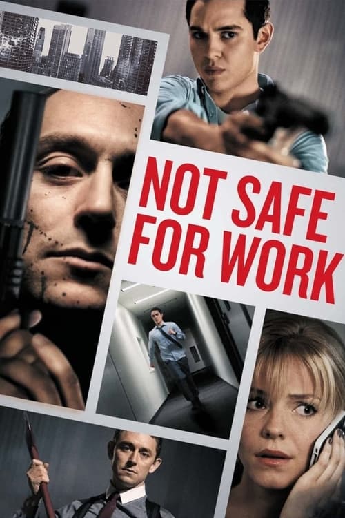 İş İçin Güvenli Değil (2014)