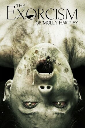 Molly Hartley’ in İblisleri (2015)