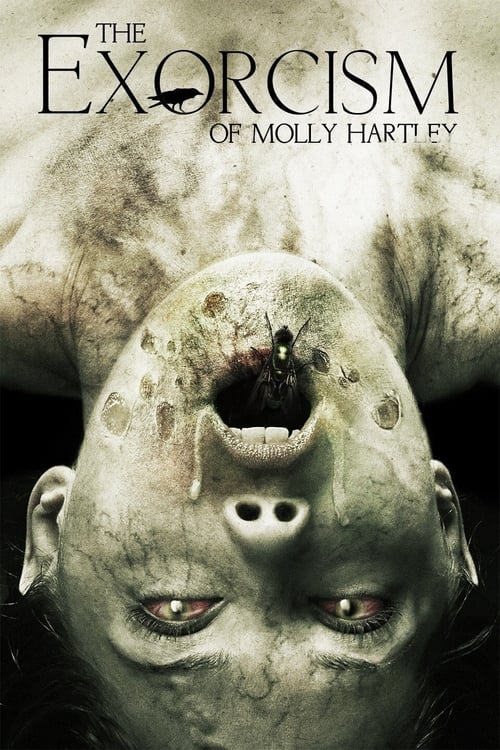 Molly Hartley’ in İblisleri (2015)