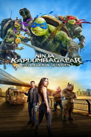 Ninja Kaplumbağalar: Gölgelerin İçinden (2016)