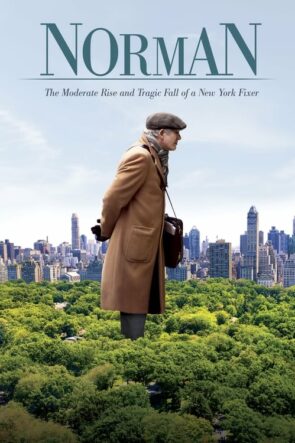 Norman: The Moderate Rise and Tragic Fall of a New York Fixer (2016)