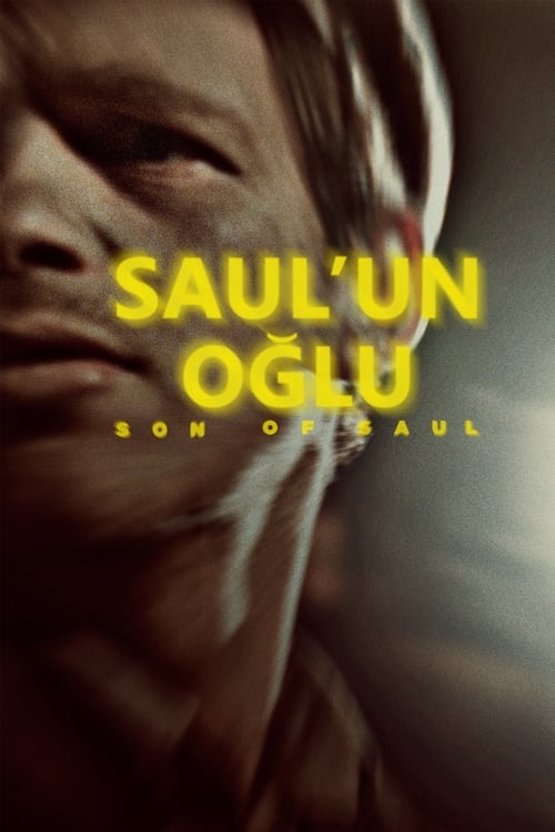 Saul’un Oğlu (2015)