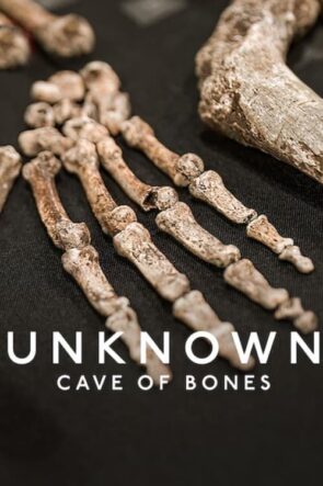 Bilinmeyen: Kemik Mağarası (2023)