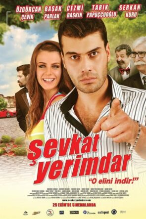 Şevkat Yerimdar (2013)