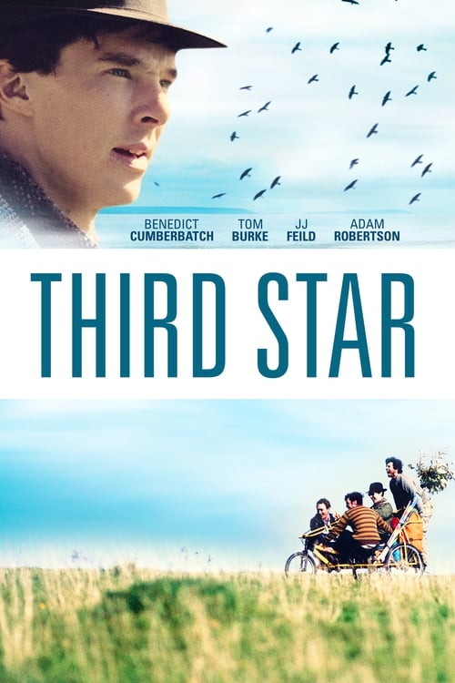 Üçüncü Yıldız (2010)